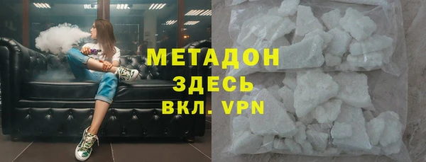 гидра Няндома