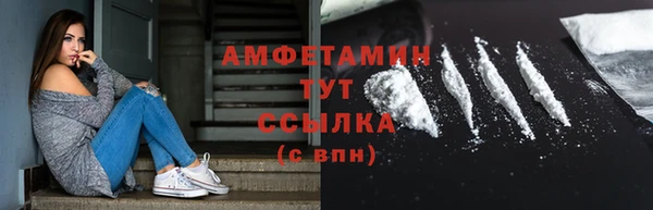 гидра Няндома