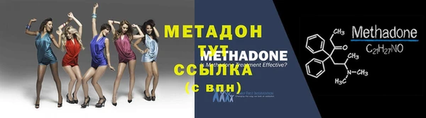 гидра Няндома