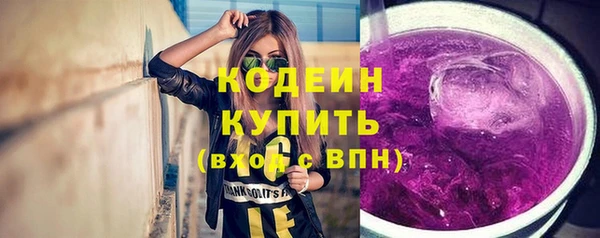 гидра Няндома