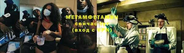 гидра Няндома