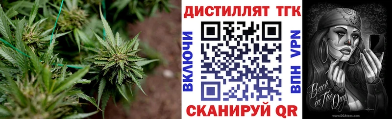 Дистиллят ТГК концентрат  купить наркоту  Мурино 