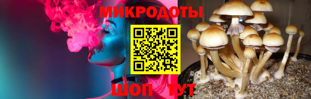 Галлюциногенные грибы мицелий  Галлюциногенные грибы мухоморы  Мурино  Вход с VPN 