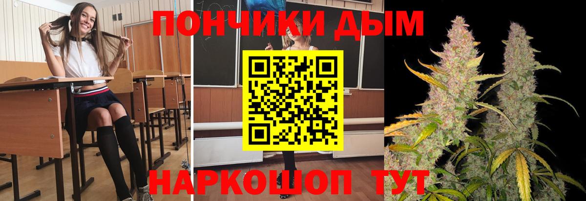 Мурино  Шишки марихуана сатива  Бошки Шишки индика  МАРИХУАНА сатива  Вход с VPN 